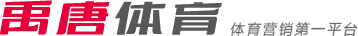 斯瓦泰克出