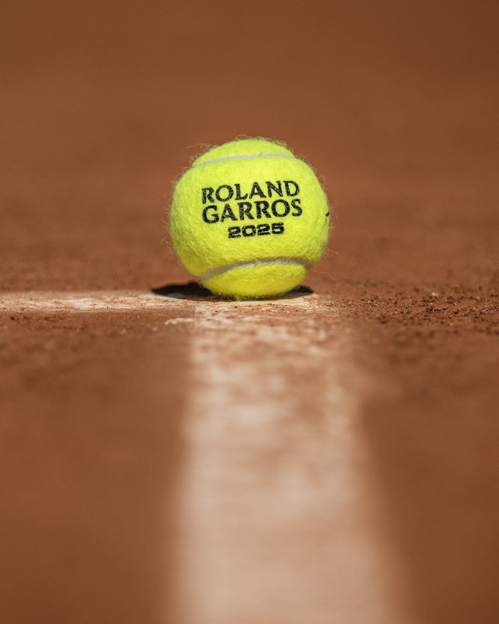 的概率与资 的概率与资